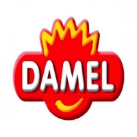 DAMEL